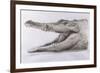 Crocodile, 2005-Lincoln Seligman-Framed Giclee Print