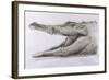 Crocodile, 2005-Lincoln Seligman-Framed Giclee Print