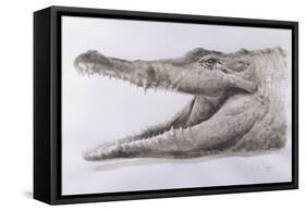 Crocodile, 2005-Lincoln Seligman-Framed Stretched Canvas