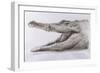 Crocodile, 2005-Lincoln Seligman-Framed Giclee Print