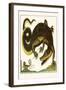 Crocodile and Lizard-Albertus Seba-Framed Art Print