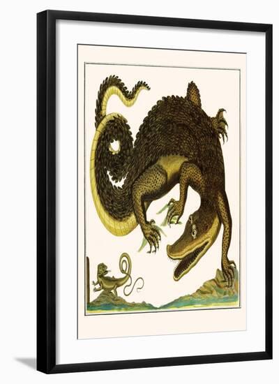 Crocodile and Lizard-Albertus Seba-Framed Art Print