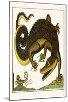 Crocodile and Lizard-Albertus Seba-Mounted Art Print