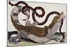 Crocodile and Snake-Maria Sibylla Merian-Mounted Giclee Print