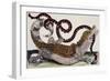 Crocodile and Snake-Maria Sibylla Merian-Framed Giclee Print