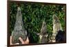 Crocodile, Caiman and Alligator Head Comparison-W. Perry Conway-Framed Photographic Print