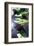 Crocodile - Everglades National Park - Unesco World Heritage Site - Florida - USA-Philippe Hugonnard-Framed Photographic Print