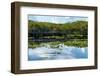 Crocodile - Everglades National Park - Unesco World Heritage Site - Florida - USA-Philippe Hugonnard-Framed Photographic Print