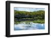 Crocodile - Everglades National Park - Unesco World Heritage Site - Florida - USA-Philippe Hugonnard-Framed Photographic Print