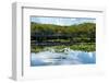 Crocodile - Everglades National Park - Unesco World Heritage Site - Florida - USA-Philippe Hugonnard-Framed Photographic Print