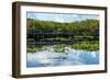 Crocodile - Everglades National Park - Unesco World Heritage Site - Florida - USA-Philippe Hugonnard-Framed Photographic Print