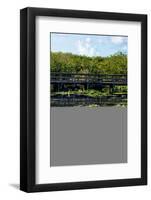 Crocodile - Everglades National Park - Unesco World Heritage Site - Florida - USA-Philippe Hugonnard-Framed Photographic Print