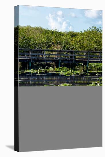 Crocodile - Everglades National Park - Unesco World Heritage Site - Florida - USA-Philippe Hugonnard-Stretched Canvas