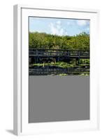 Crocodile - Everglades National Park - Unesco World Heritage Site - Florida - USA-Philippe Hugonnard-Framed Photographic Print