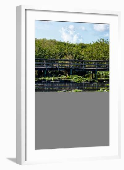 Crocodile - Everglades National Park - Unesco World Heritage Site - Florida - USA-Philippe Hugonnard-Framed Photographic Print