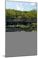 Crocodile - Everglades National Park - Unesco World Heritage Site - Florida - USA-Philippe Hugonnard-Mounted Photographic Print