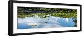 Crocodile - Everglades National Park - Unesco World Heritage Site - Florida - USA-Philippe Hugonnard-Framed Photographic Print