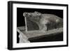 Crocodile, Granite Statue, Detail, New Kingdom-null-Framed Giclee Print