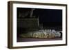 Crocodile Mummy-null-Framed Giclee Print