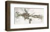 Crocodile-Renate Holzner-Framed Art Print