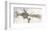 Crocodile-Renate Holzner-Framed Art Print