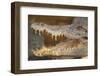 Crocodile-DLILLC-Framed Photographic Print