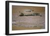 Crocodile-DLILLC-Framed Photographic Print