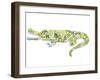 Crocodile-Louise Tate-Framed Giclee Print