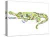 Crocodile-Louise Tate-Stretched Canvas