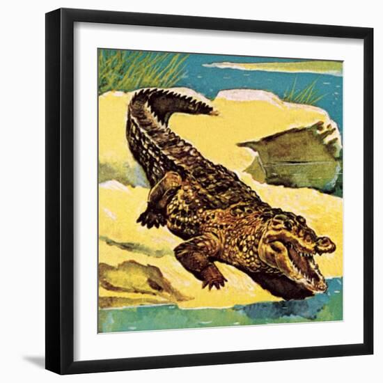 Crocodile-English School-Framed Giclee Print