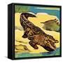 Crocodile-English School-Framed Stretched Canvas