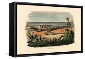 Crocodiles, 1833-39-null-Framed Stretched Canvas