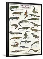 Crocodiles And Alligators Of The World-null-Framed Poster