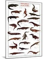 Crocodiles and Alligators-null-Mounted Poster