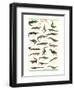 Crocodiles and Alligators-null-Framed Premium Giclee Print