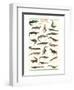 Crocodiles and Alligators-null-Framed Premium Giclee Print