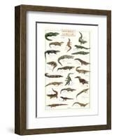 Crocodiles and Alligators-null-Framed Art Print