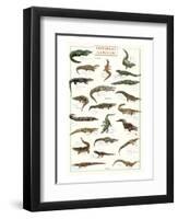 Crocodiles and Alligators-null-Framed Art Print