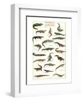 Crocodiles and Alligators-null-Framed Art Print