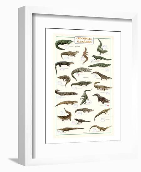 Crocodiles and Alligators-null-Framed Art Print