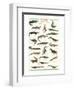 Crocodiles and Alligators-null-Framed Art Print