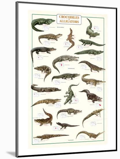 Crocodiles and Alligators-null-Mounted Art Print