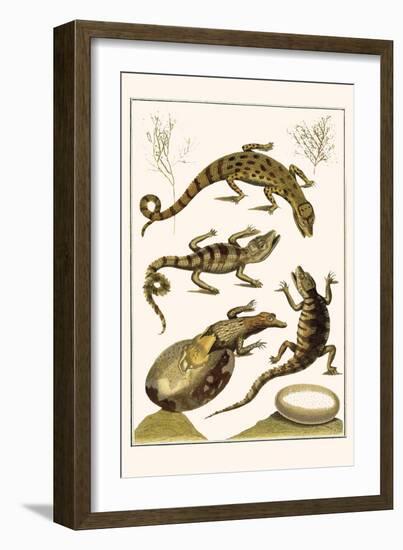 Crocodiles and Plants-Albertus Seba-Framed Art Print