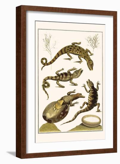 Crocodiles and Plants-Albertus Seba-Framed Art Print