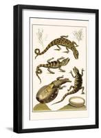 Crocodiles and Plants-Albertus Seba-Framed Art Print