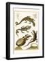 Crocodiles and Plants-Albertus Seba-Framed Art Print