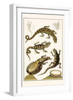 Crocodiles and Plants-Albertus Seba-Framed Art Print