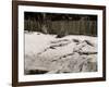 Crocodiles I.E. Alligators at Alligator Joes, Palm Beach, Fla.-null-Framed Photo