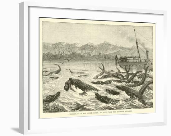 Crocodiles on the Shire River, as Seen from the Pioneer Steamer-null-Framed Giclee Print