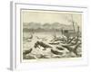 Crocodiles on the Shire River, as Seen from the Pioneer Steamer-null-Framed Giclee Print